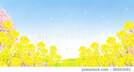 油菜花田和成排的櫻花樹背景素材 98941682
