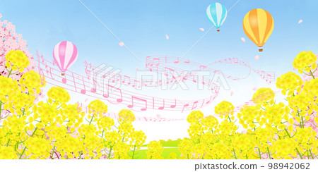 Field of rape blossoms and rows of cherry trees Background material 98942062