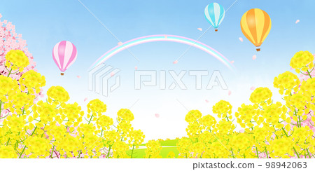 Field of rape blossoms and rows of cherry trees Background material 98942063