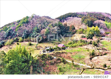 Megalith of Mt. Fudayama Megalith of Mt. Fudayama 98943147