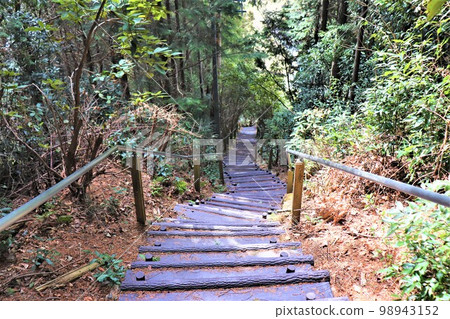 Megalith of Mt. Fudayama 98943152