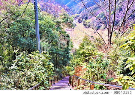 Fudayama山的巨石 98943155