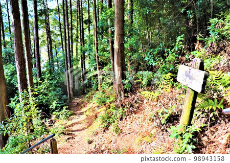 Megalith of Mt. Fudayama 98943158