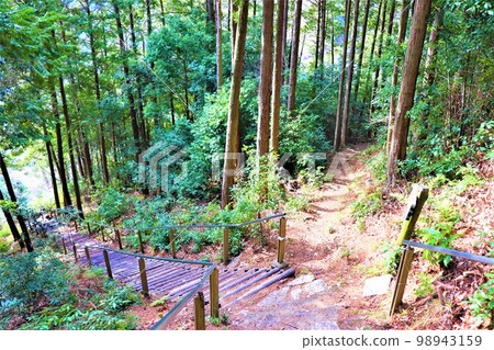 Fudayama山的巨石 98943159
