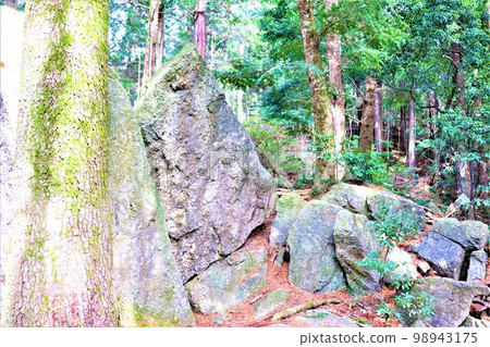 Megalith of Mt. Fudayama 98943175