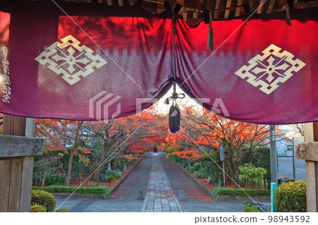 Autumn leaves of Longfuku-ji 98943592