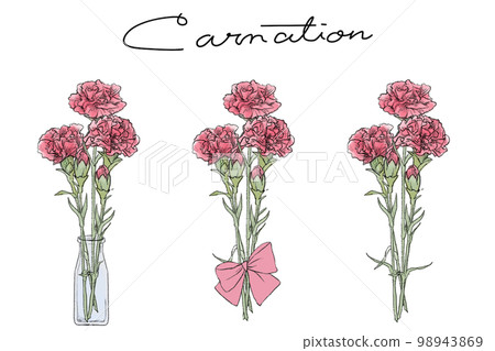 mother's day carnation bouquet illustration set 98943869