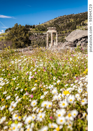 Temple (tholos) of Athena Pronaia Sanctuary in Delphi, Greece 98944729