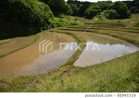 栃木縣茂木市石畑梯田 栃木縣茂木市石畑梯田 98945319