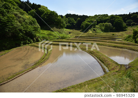 栃木縣茂木市石畑梯田 栃木縣茂木市石畑梯田 98945320