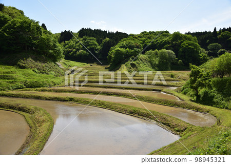 Ishihata Rice Terraces, Motegi, Tochigi Prefecture 98945321