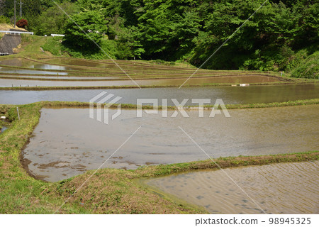 栃木縣茂木市石畑梯田 栃木縣茂木市石畑梯田 98945325