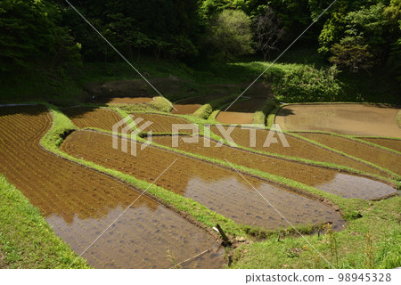 栃木縣茂木市石畑梯田 栃木縣茂木市石畑梯田 98945328