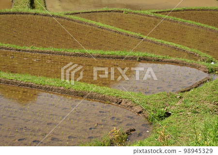 栃木縣茂木市石畑梯田 栃木縣茂木市石畑梯田 98945329