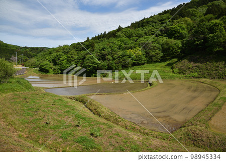 栃木縣茂木市石畑梯田 栃木縣茂木市石畑梯田 98945334