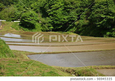 栃木縣茂木市石畑梯田 栃木縣茂木市石畑梯田 98945335