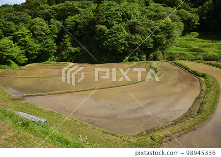 栃木縣茂木市石畑梯田 98945336