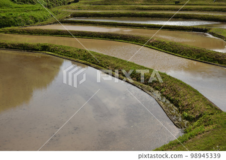 栃木縣茂木市石畑梯田 栃木縣茂木市石畑梯田 98945339