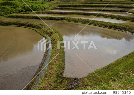 栃木縣茂木市石畑梯田 栃木縣茂木市石畑梯田 98945340