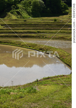 栃木縣茂木市石畑梯田 栃木縣茂木市石畑梯田 98945348