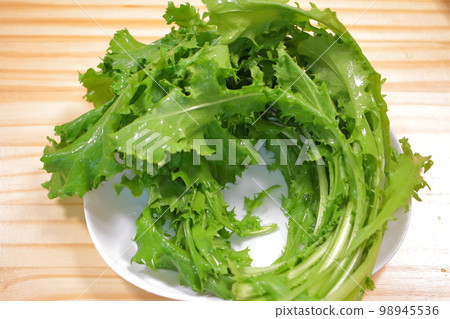 Endive Romanesca, a Western vegetable with a bright green color that looks fresh and delicious Endive Romanesca, a Western vegetable with a bright green color that looks fresh and delicious 98945536
