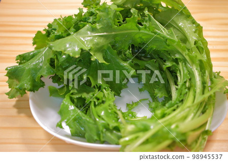 菊苣，一種西式蔬菜，色澤鮮綠，看起來新鮮可口 98945537