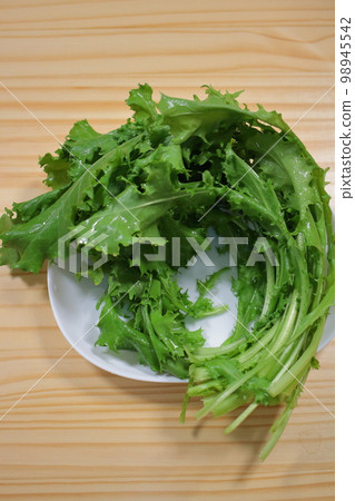 菊苣，一種西式蔬菜，色澤鮮綠，看起來新鮮可口 98945542