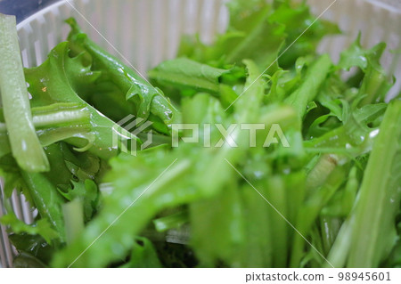 菊苣,一種西式蔬菜,色澤鮮綠,看起來新鮮可口 菊苣,一種西式蔬菜,色澤鮮綠,看起來新鮮可口 98945601