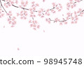 Hand-drawn cherry blossoms_message card background illustration 98945748