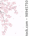 Hand-drawn cherry blossoms_message card background illustration 98945750