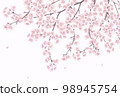 Hand-drawn cherry blossoms_message card background illustration 98945754