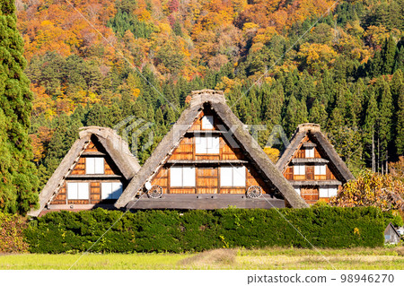 [Shirakawa-go] Autumn leaves in full bloom and triplets gassho-zukuri style 98946270
