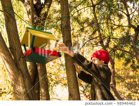 Boy puts feed for birds into self-made birdfeeder hanging at backyard 98946462