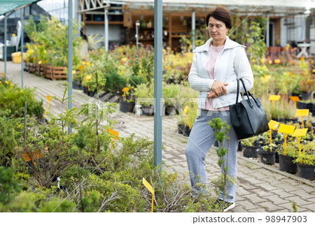 Aged woman customer buying plants in open-air market 98947903