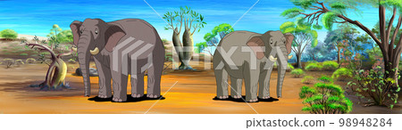 African elephants in the savannah illustration 98948284