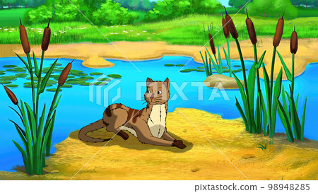 Red tabby cat near a pond illustration 98948285
