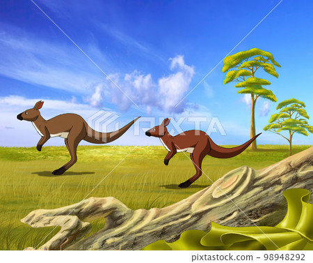 Kangaroo in Australia illustration Kangaroo in Australia illustration 98948292