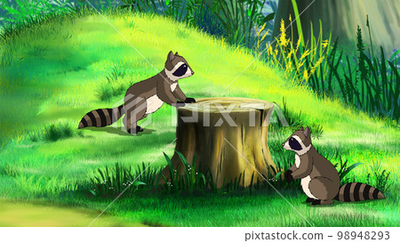 Raccoons in a forest illustration Raccoons in a forest illustration 98948293