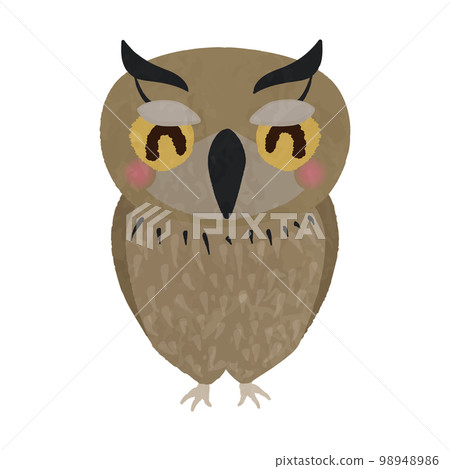 Illustration of a cute smiling owl 98948986