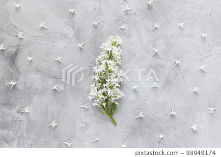 Fresh white lilac blossom flowers on abstract gray background. Spring concept. Minimalist floral flat lay, top view, copy space 98949174