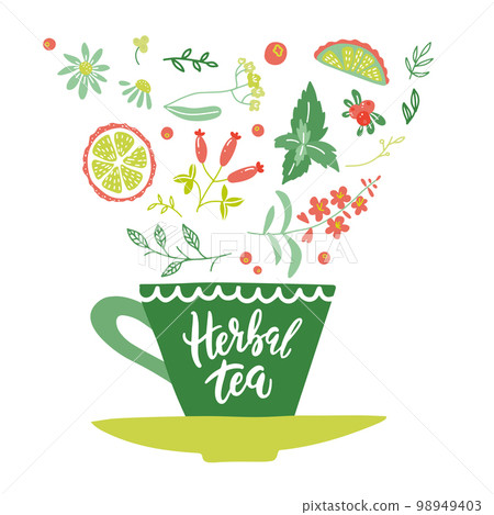Unique hand written lettering concept. Flat drawing of a cup of herbal tea with falling herbs and berries in it. Hand drawn isolated vector illustration Unique hand written lettering concept. Flat drawing of a cup of herbal tea with falling herbs and berries in it. Hand drawn isolated vector illustration 98949403