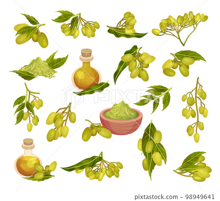 Neem Plant Green Branch and Oil in Corked Jar Big Vector Set Neem Plant Green Branch and Oil in Corked Jar Big Vector Set 98949641