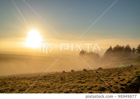 Beautiful field in the fog in County Donegal - Ireland Beautiful field in the fog in County Donegal - Ireland 98949877
