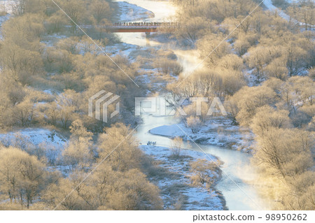 從天文台看到的結霜的樹木和音羽橋 鶴居村 北海道東部觀光 98950262