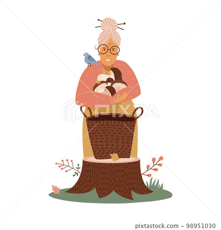An old woman puts harvested mushrooms in the basket in forest. Mushrooms picking and hunting concept, finding fungus in the forest, active seniors lifestyle.Vector flat illustration. 98951030
