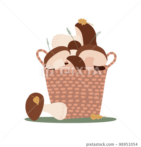 Wicker Basket with porchini mushrooms isolated on white background. Set of cut edible wild forest mushrooms. Vector cartoon flat hand drawn illustration. Wicker Basket with porchini mushrooms isolated on white background. Set of cut edible wild forest mushrooms. Vector cartoon flat hand drawn illustration. 98951054