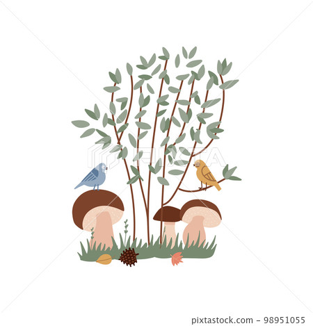 Tree Boletus mushrooms of different sizes in composition under green bush on a grass. Summer forest concept for cards, banners , stickers. Vector flat hand drawn illustration Tree Boletus mushrooms of different sizes in composition under green bush on a grass. Summer forest concept for cards, banners , stickers. Vector flat hand drawn illustration 98951055