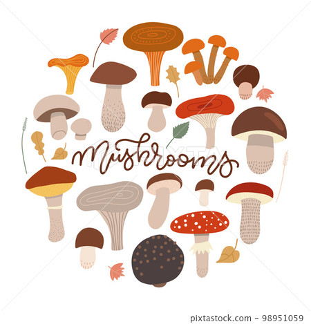 Mushrooms collection isolated on white in round shape with hand lettering word. Cep, chanterelle, honey agaric, russula, oyster mushrooms,champignon, shiitake, black truffle. Flat vector illustration. 98951059