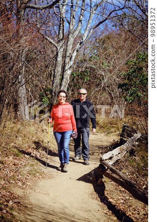 Senior couple hiking 98951372
