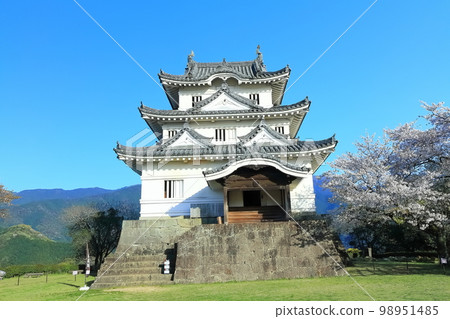 [愛媛縣]春天櫻花盛開的宇和島城 98951485